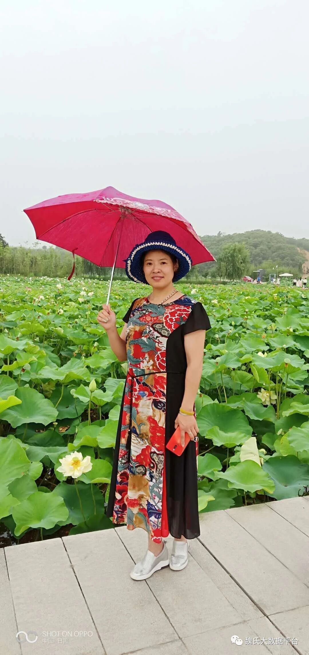 百家姓历史003——艾氏家族简介