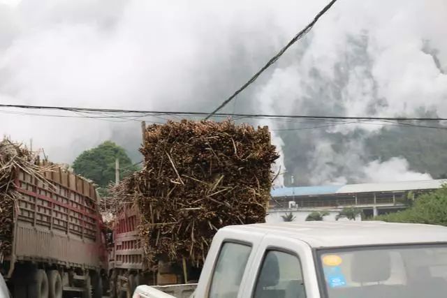 除草剂_花生出苗后用什么除草剂除草_黄豆地用什么除草剂除草