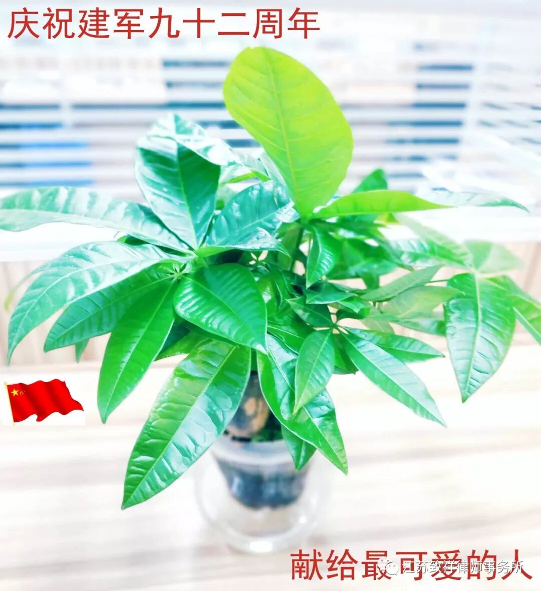 庆祝建军九十二周年 