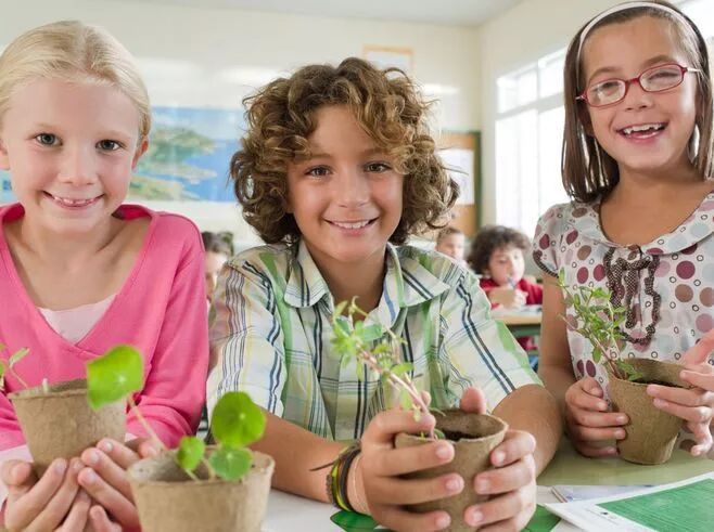 花費(fèi)生美國孩子多少錢_美國生孩子花多少錢_在美國生孩子花費(fèi)
