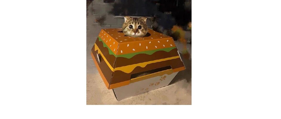 麦当劳出猫窝？好可爱哟！