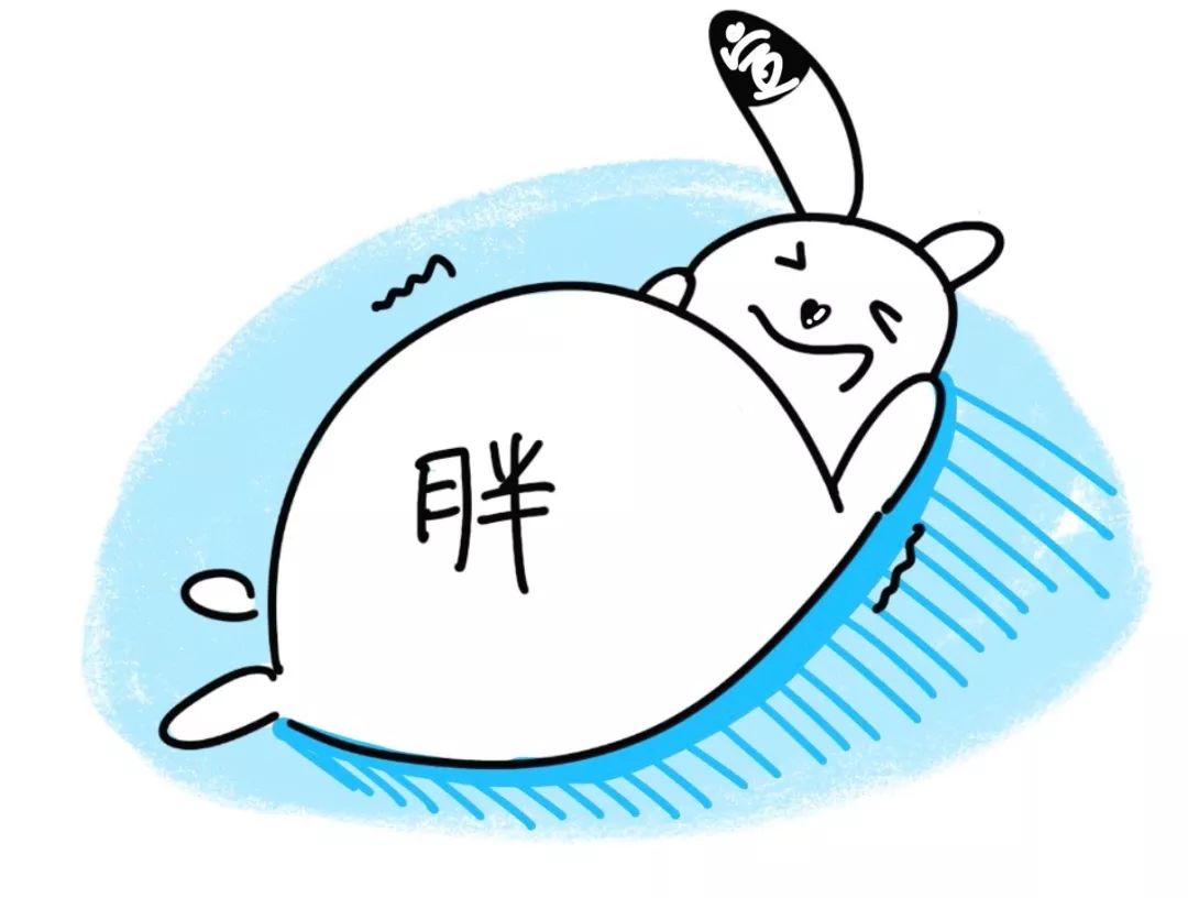 減肥手術(shù)切胃_減肥手術(shù)是怎么做的_手術(shù)減肥