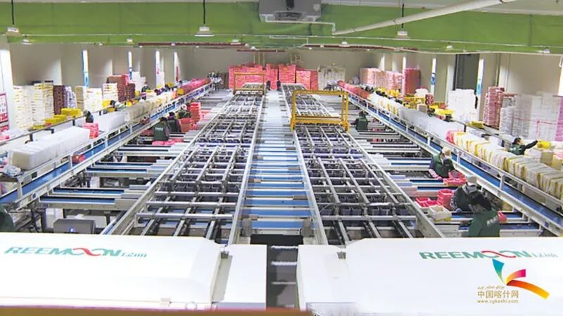 伽师县粤伽新梅产业园全自动化新梅分拣生产线一角。刘磊 摄