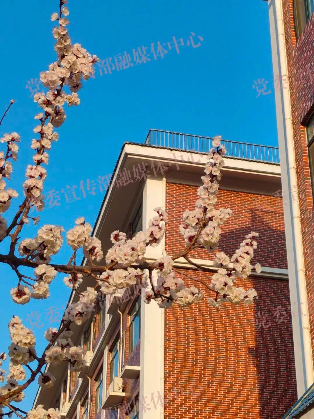 91PORNY������Ů