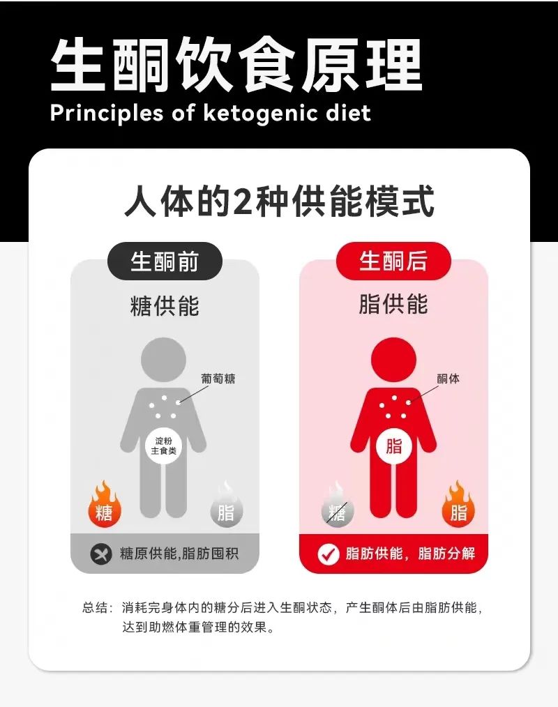 FitQ水母健康-生酮饮食