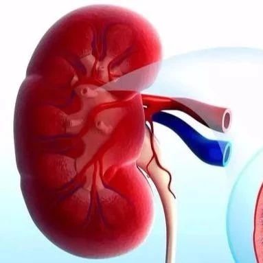 透析与肾移植，对心脏结构有什么影响？
