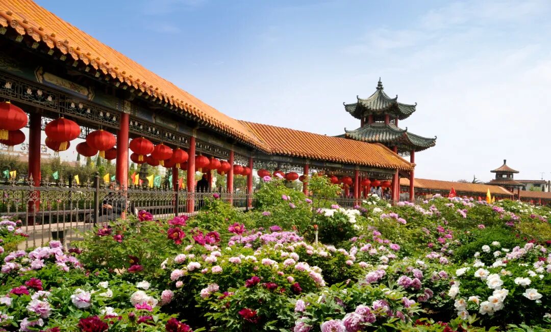 2021在菏泽必玩的35个地方值得收藏