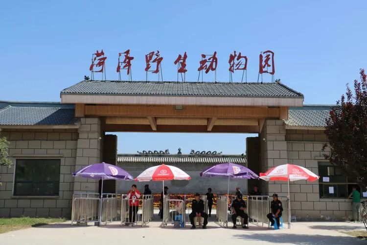 菏泽的春天就是这么浪漫来菏泽休闲游指南