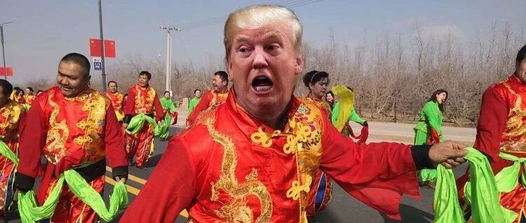 没有人比我更懂动态图表