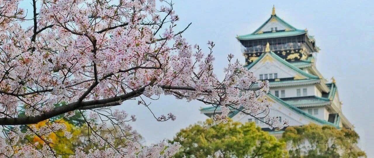 刚刚！新西兰华人圈传来重大消息：华人可以免费学日语练口语了！扫码进！