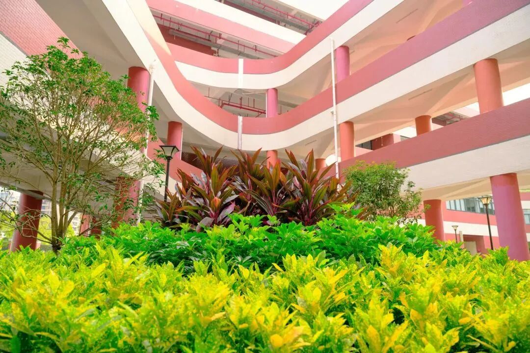 南沙这所学校又扩建了，周边多个楼盘或享利好