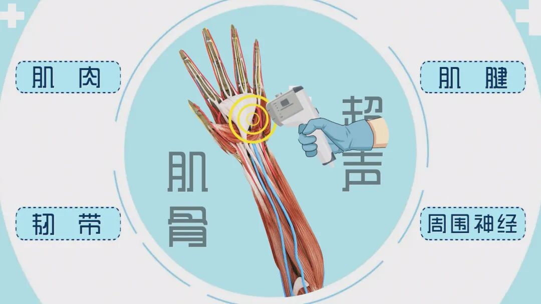 b超仪器什么牌子好诊断+治疗多面手，这一“宝藏”仪器您了解吗？_https://www.jmylbn.com_新闻资讯_第7张