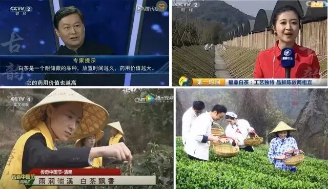 白茶为什么被称为“万病之药”？