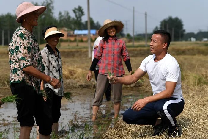 戴虎在田间地头忙碌。受访者供图
