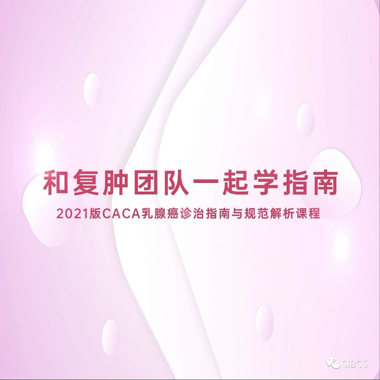 中国乳腺癌诊治指南规范解析课程