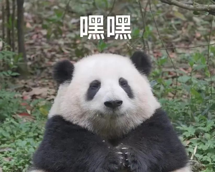 DƬ