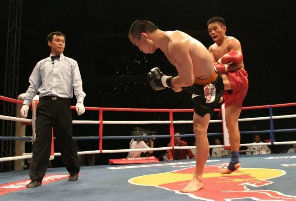 大秦赋_大一匹_大学排行榜