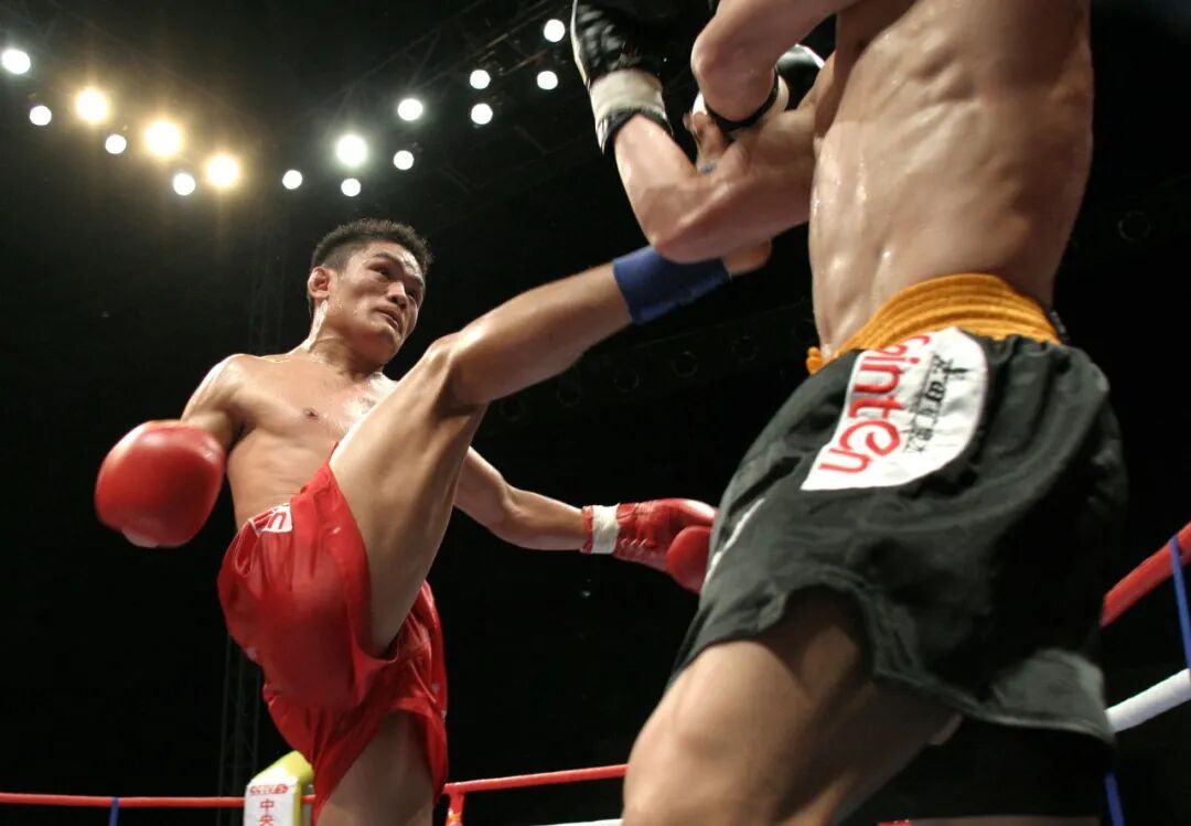 大一匹_大秦赋_大学排行榜