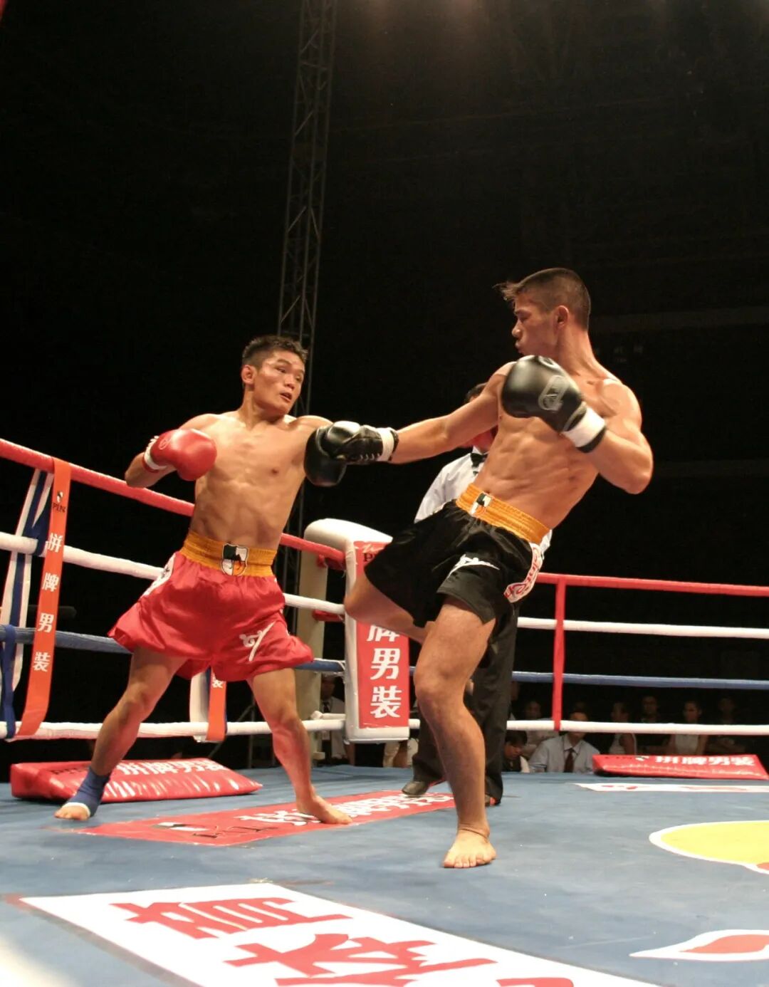 大一匹_大秦赋_大学排行榜