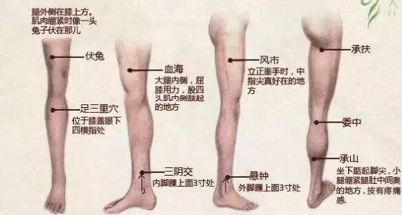 艾灸 不能忘了灸腿 灸好腿 养好命 艾灸馆馆长大会 微信公众号文章阅读 Wemp
