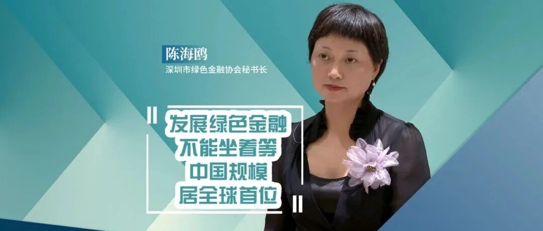 深圳市绿色金融协会秘书长陈海鸥：发展绿色金融不能坐着等|全景ESG
