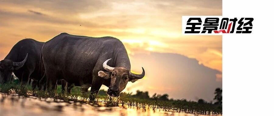 全球股市集体反弹！港股领涨亚洲，中芯国际大跌近7%，创4个月新低！原油反弹，贵金属企稳，还有这些个股暴动......