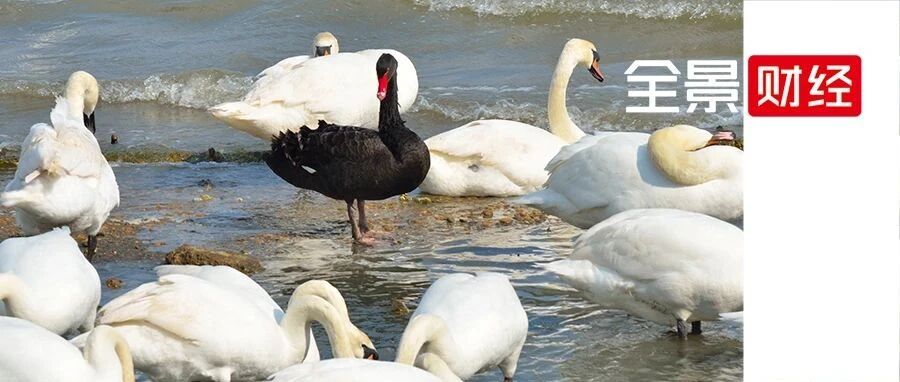 连续两天有IPO被否！乐视余波仍在继续 虎年首家过会券商诞生（附最新IPO排队名单）
