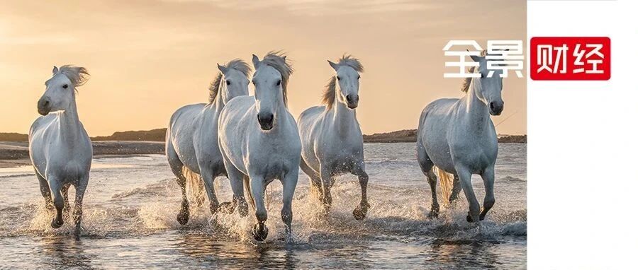 万凯新材IPO：行业提速、市占率提升、利润潜能 三因共振 百亿营收“航母”也玩飙车？丨IPO黄金眼