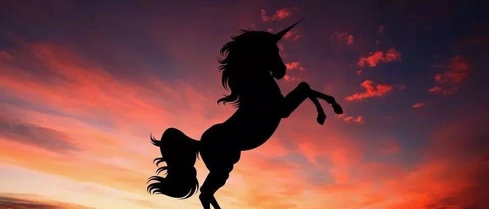 刚刚，蚂蚁集团宣布: 启动A股IPO！最大的赢家不是马云，而是这位女人