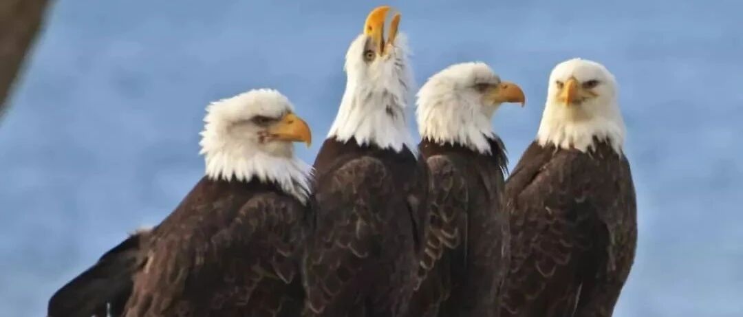 朋友圈超喜感动图，治愈了我一天的不开心！哈哈哈哈哈哈哈哈哈哈哈