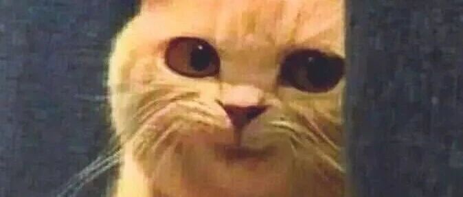 “妈妈肚子像个小皮球，双眼皮是去店里做的……”看完笑出猪叫声哈哈哈哈哈哈哈哈