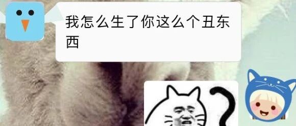 爸妈聊天记录曝光，我自闭了