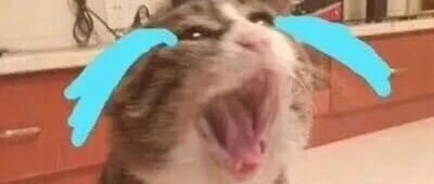 千万别让老婆学做饭！哈哈哈哈哈哈哈哈哈哈哈哈哈哈哈