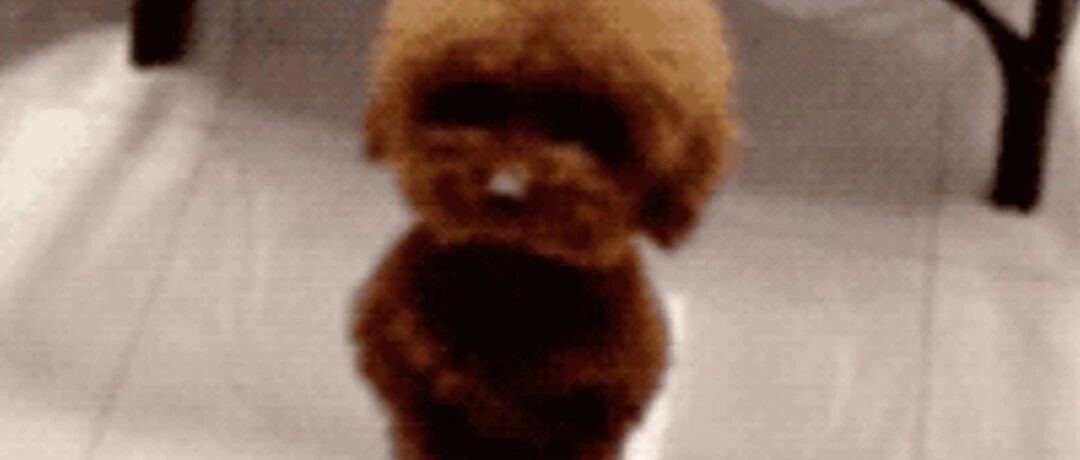 为什么越来越多的人不愿减肥了？哈哈哈哈哈哈哈哈哈