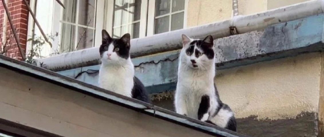 又一个靠脸上热搜的，35万人点赞，评论区却笑疯了..