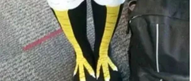 卖家又把买家气哭了！哈哈哈哈哈哈哈哈哈你们的时尚我真的不懂！