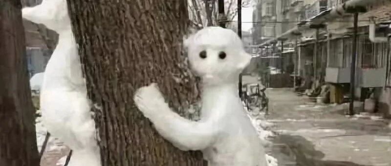 下雪后北方人的快乐，南方人不懂！哈哈哈哈哈哈哈哈哈哈哈哈