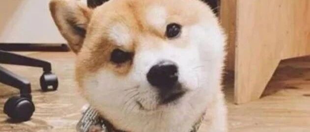 千万别听老婆的话哈哈哈哈哈哈哈哈哈哈哈哈哈哈