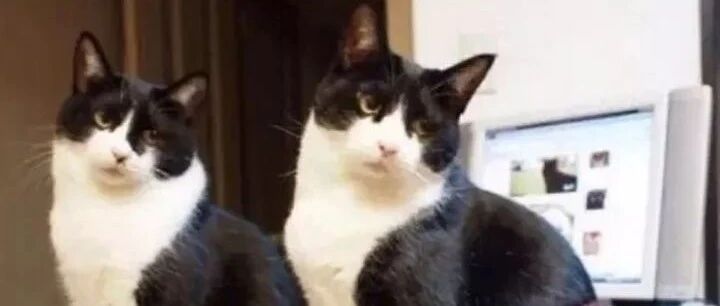 你妈逼你穿秋裤了吗？？？？哈哈哈哈哈哈哈哈哈哈哈哈哈