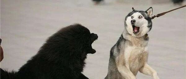 果然是天下武功，唯快不破哈哈哈哈哈哈哈哈哈哈哈哈哈哈哈哈哈哈哈哈哈