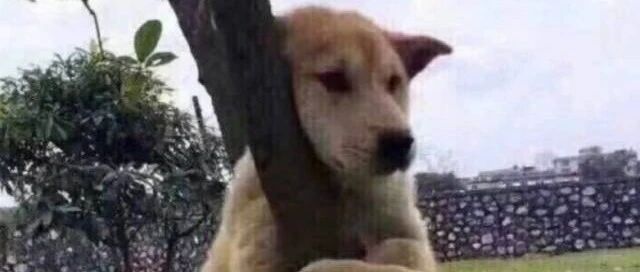 远离你身边的戏精！……哈哈哈哈哈哈哈哈哈哈哈哈哈哈哈哈哈哈哈