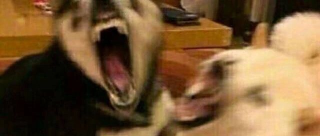 “妈，我是你的什么？？”“你是妈的智障” 哈哈哈哈哈哈哈哈哈哈哈哈哈哈哈哈哈