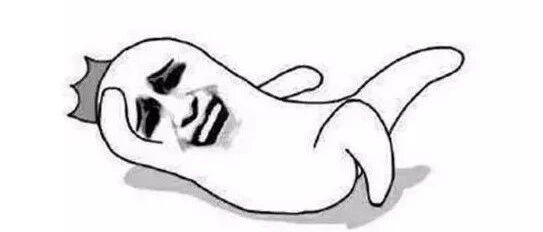 大河向东流啊，一人一颗tamato啊~哈哈哈哈哈哈哈哈哈哈哈哈哈哈哈哈哈哈哈