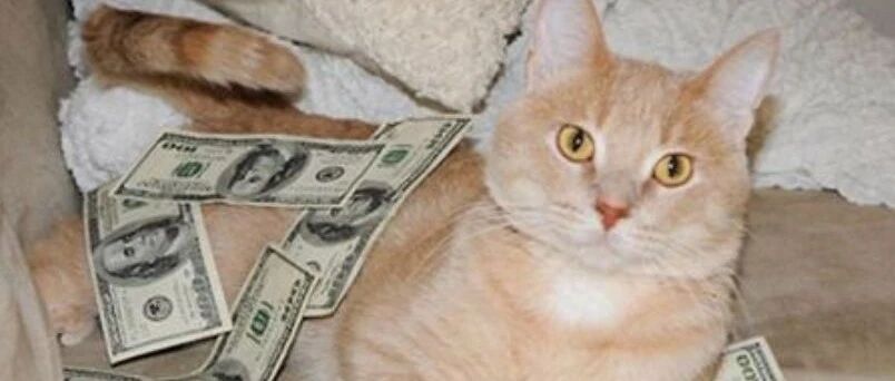 优秀的你VS不优秀的我，终于知道差距在哪里了……哈哈哈哈哈哈哈哈