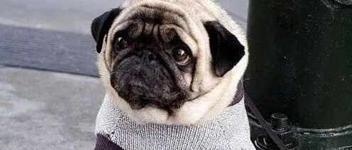 洗就洗呗，你切葱花要干啥？哈哈哈哈哈哈哈哈哈哈哈哈哈哈哈哈