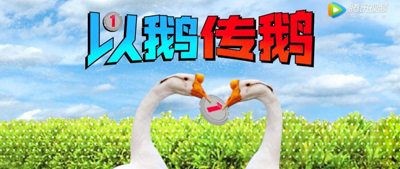 真的笑出鹅叫了，哈哈哈哈哈哈哈哈哈