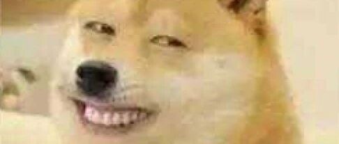 千万别看这些智障小说！哈哈哈哈哈哈哈哈哈哈哈哈哈