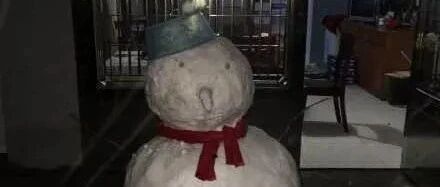 当北方姑娘嫁给了南方小伙子，场面可以说是非常爆笑了！