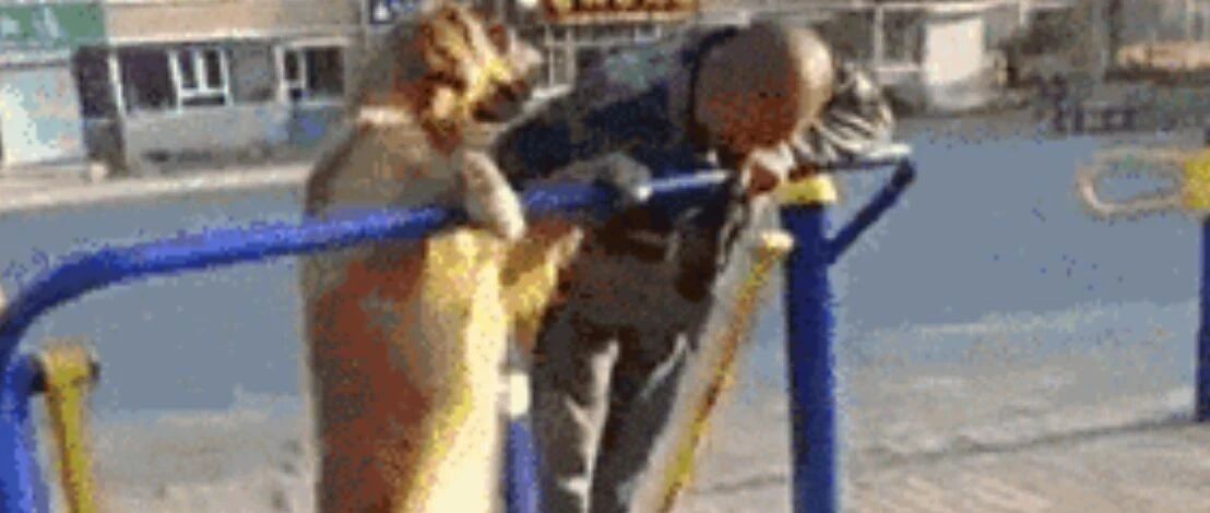 看完这些奇葩姿势，老娘再也不去健身了！哈哈哈哈哈哈哈哈哈哈哈哈