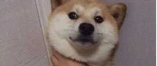 跟爸妈聊天千万别截屏！哈哈哈哈哈哈哈哈哈哈